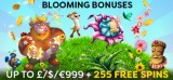 Blooming Bonuses At Fruity King Casino