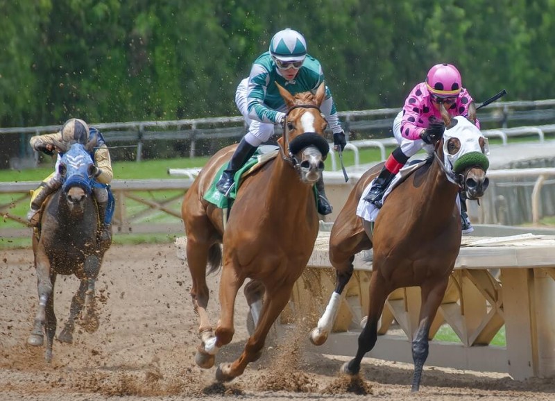 Paved With Hoofprints: 9 Things You Should Know Before Going To Belmont Stakes Image